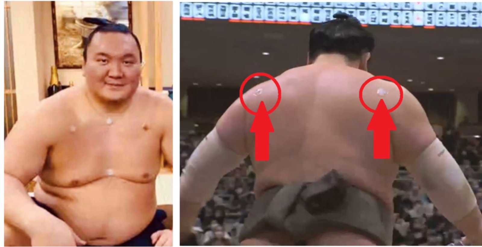 Hakuho Sho professional sumo wrestler sports image